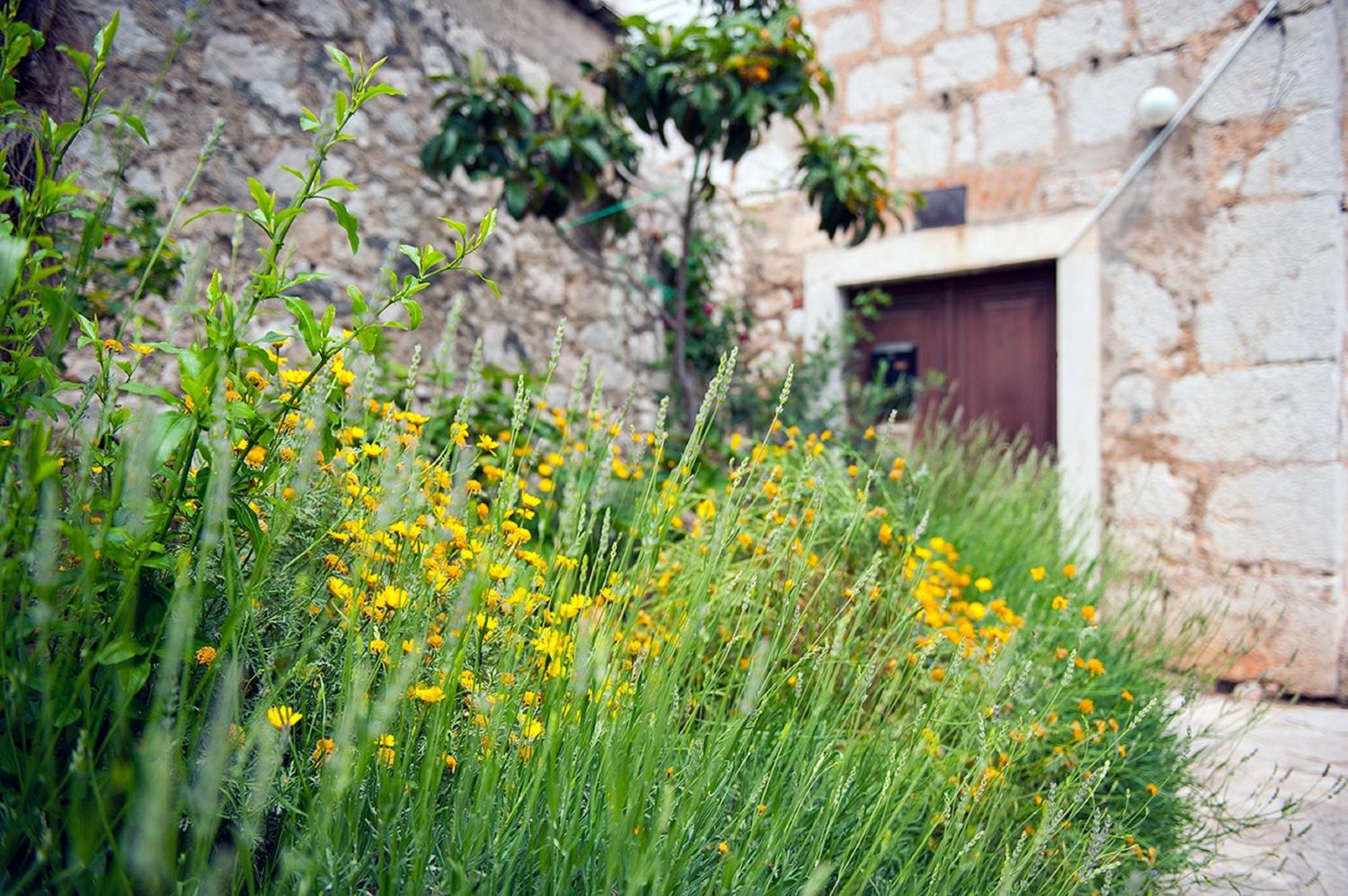 Apartment Dalmatian Garden Šibenik Dış mekan fotoğraf
